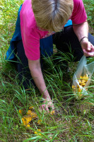 /album/gleinalpe-rossbachkogel-4-september-2025/gleinalpe-rosbachkogel-04-09-2025-6-jpg/